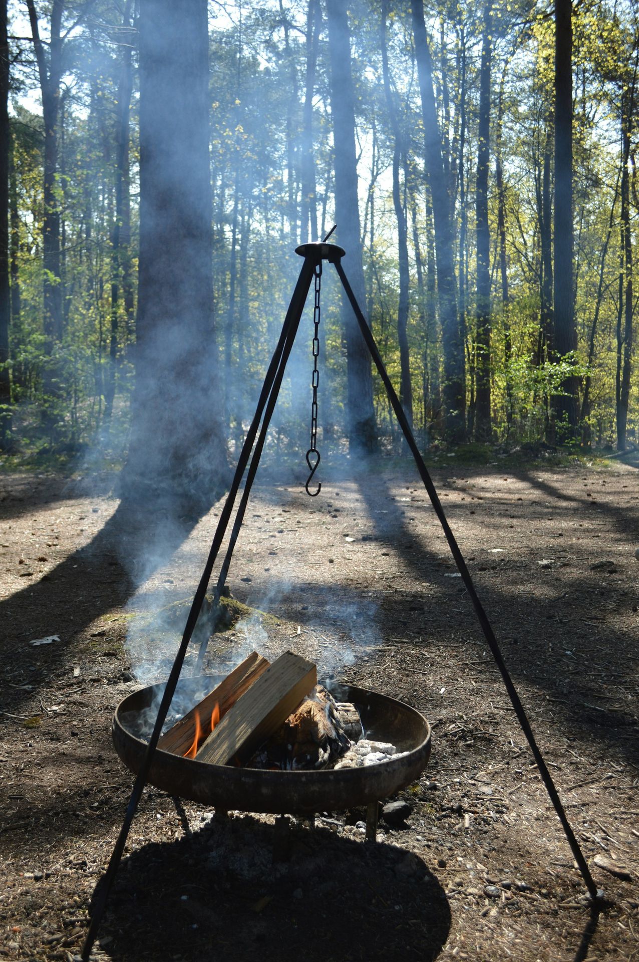 Cooking in the forest during daytime
